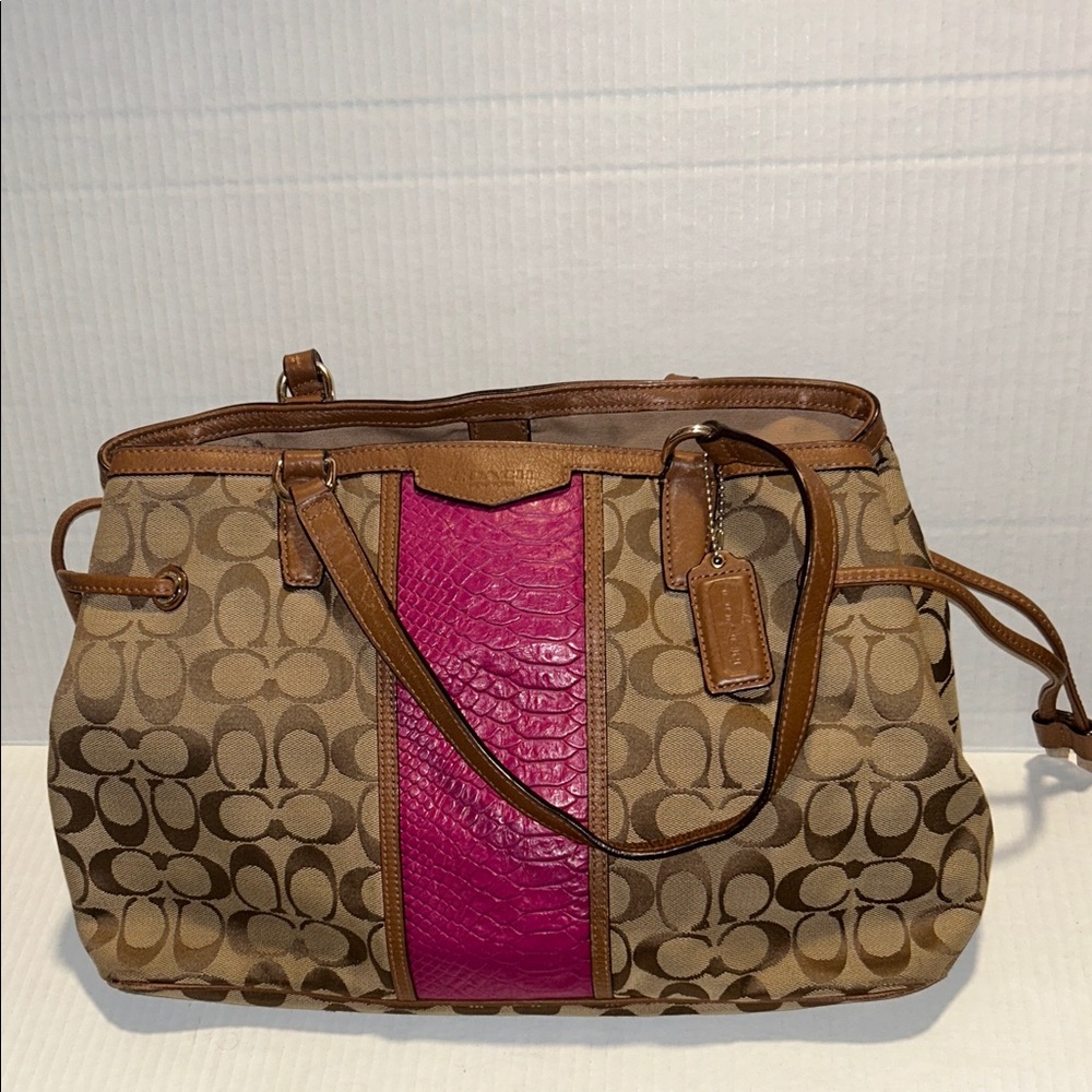 COACH Signature Tote Bag Stripe Snake F29863 Brown Pink
